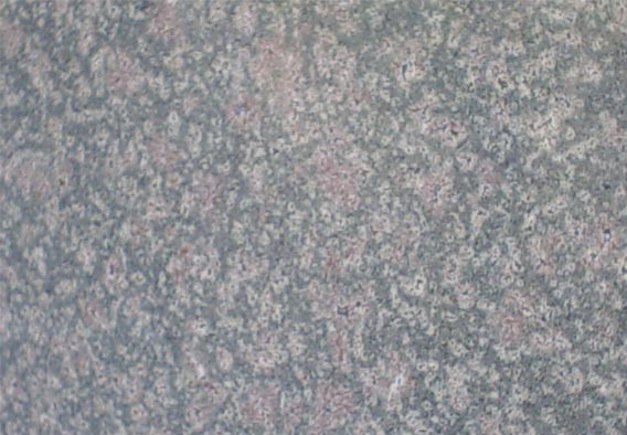 Bala Flower Granite