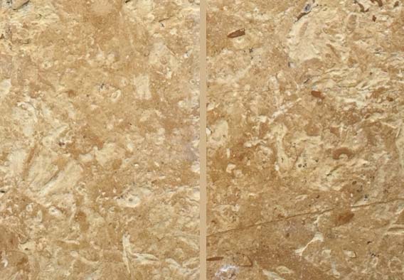 Flowery Gold Limestone