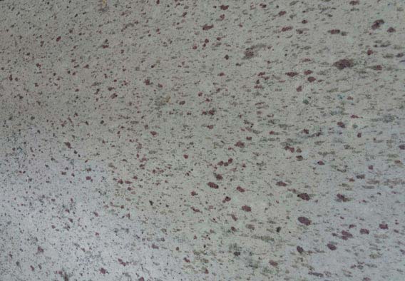 Moon White Granite